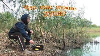 Отдохнул Рыбалка на КАРАСЯ 🐟 УБИЙЦА КОРМАЧКИ