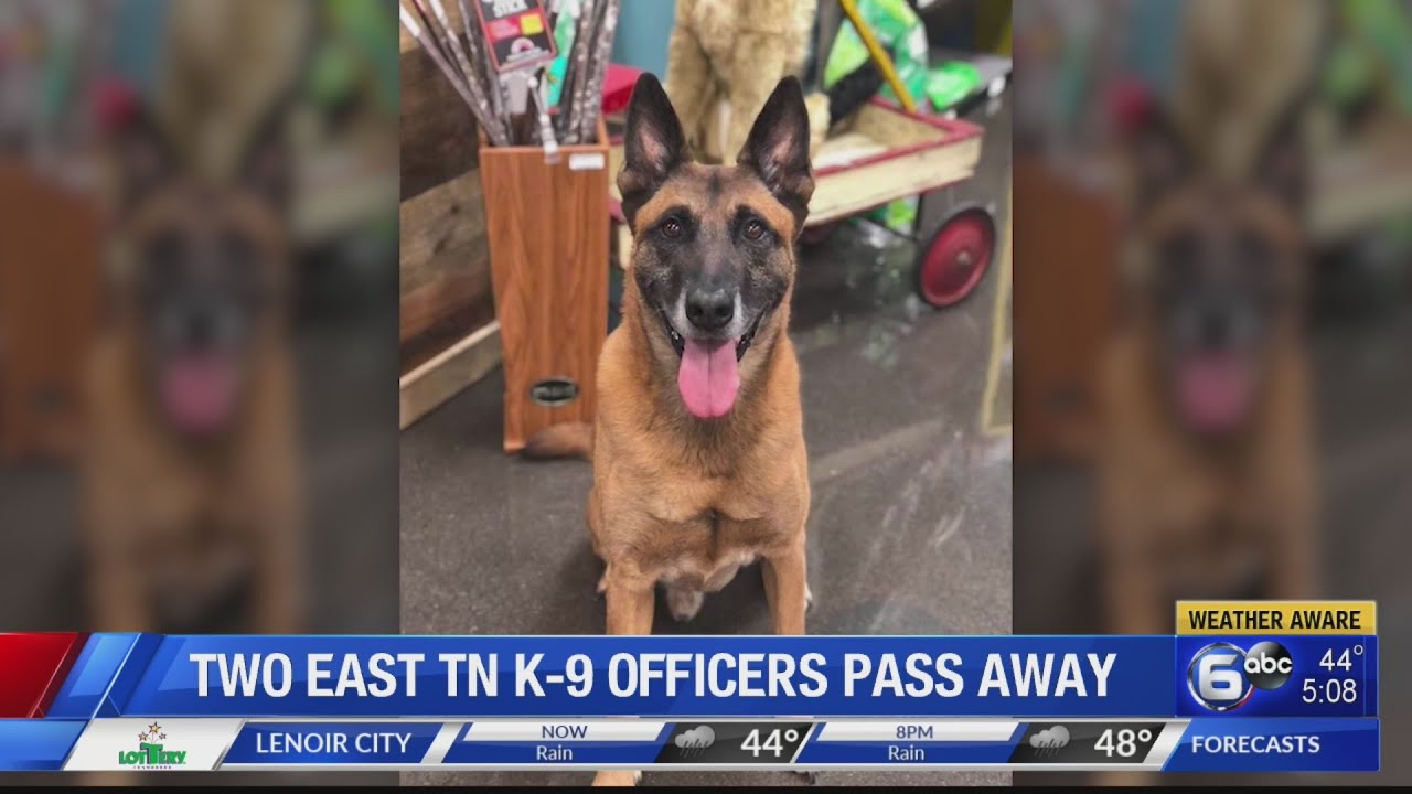Two East Tennessee K9 officers pass away YouTube