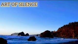 🦩ART OF SILENCE [FREE TO USE]