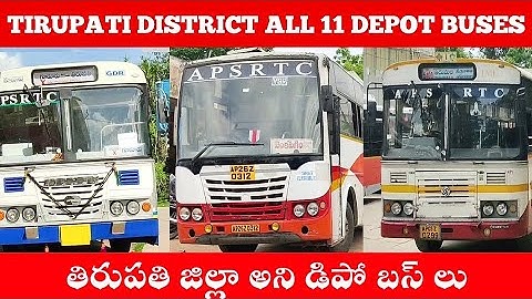 🚍 All Depo Buses Of Tirupati District, Andhra Pradesh