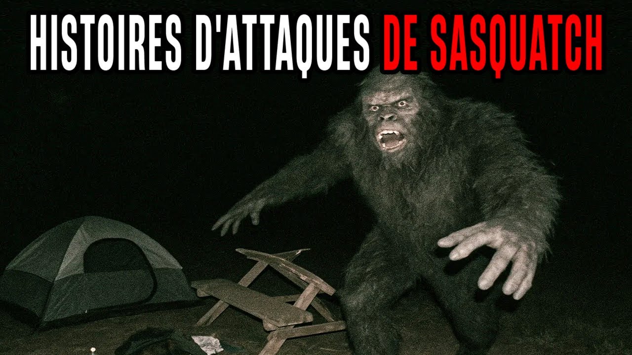 Histoires Terrifiantes SUR ATTAQUE DU BIGFOOT | Détendez-vous, DORMEZ VITE