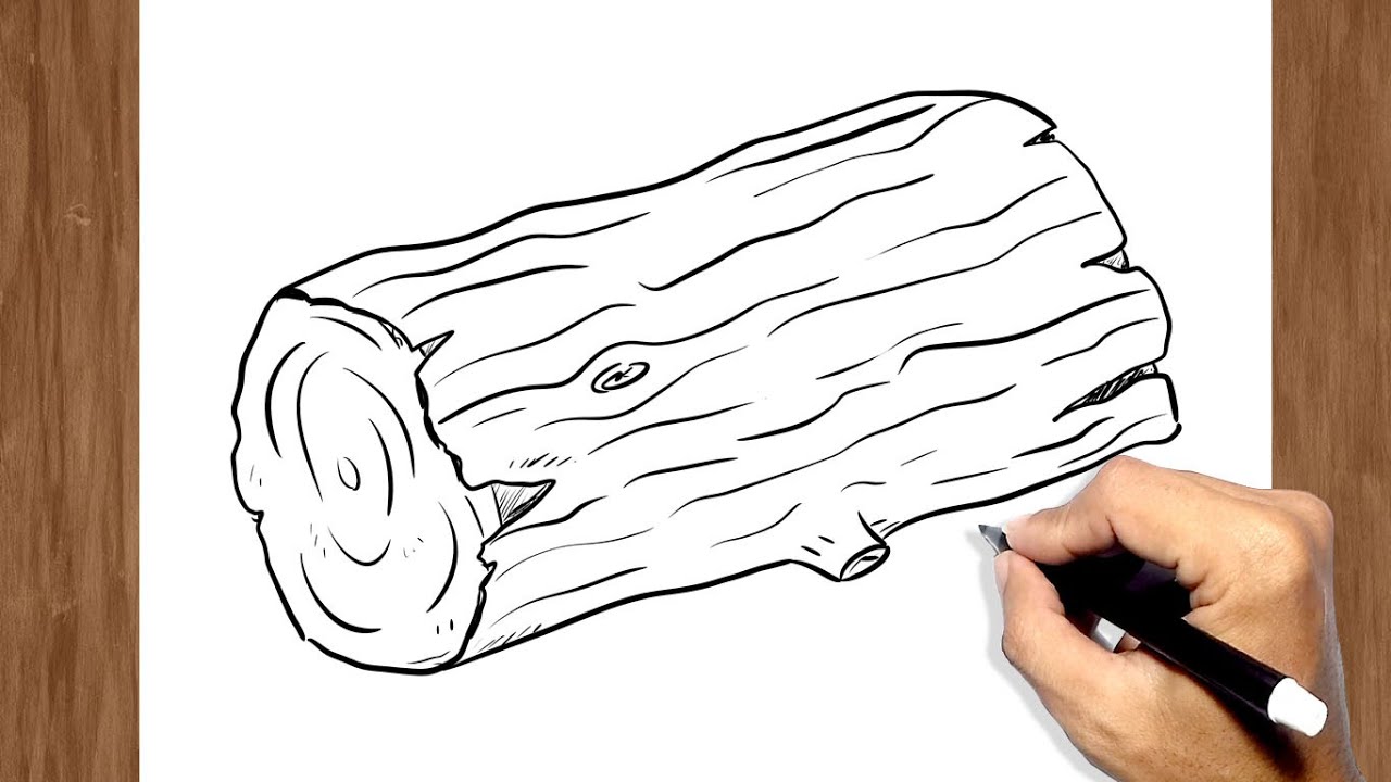 How to Draw Wood Log - YouTube
