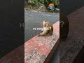 Игорь Швед встретился с Максимом Дивничем