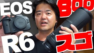 作例多数】キヤノン EOS R6 フルサイズミラーレスと片手で持てる奇跡の