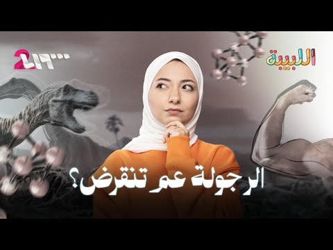 ليش هرمون الذكورة عم ينخفض حول العالم اللبيبة
