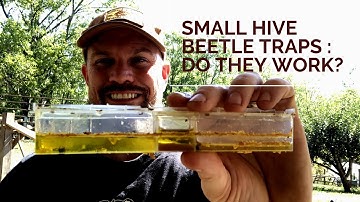 Do Small Hive Beetle Traps REALLY WORK? (Beekeeping PEST!)