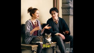 Scaling on cats #machinelearning #engagingcontent #cat #artificialintelligence #ai