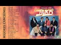 L BuKis Sus Mejores Canciones 25 Grandes Exitos - L BuKis Exitos Mix Viejitas Pero Bonitas