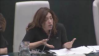 Celia Mayer Comité De Crisis Ante Asesinatos Machistas Para La Evaluación Y La Mejora De Recursos