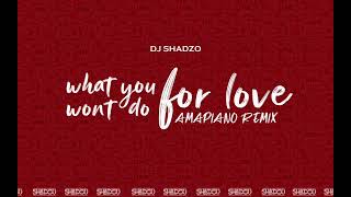 DJ ShadzO   What You won't do for Love Amapiano Remix