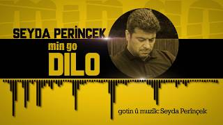 Seyda Perinçek - Min go Dilo Resimi