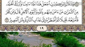حفظ سورة البقرة الصفحة 19 من الاية 120 الى الاية 126 بصوت ماهر المعيقلي