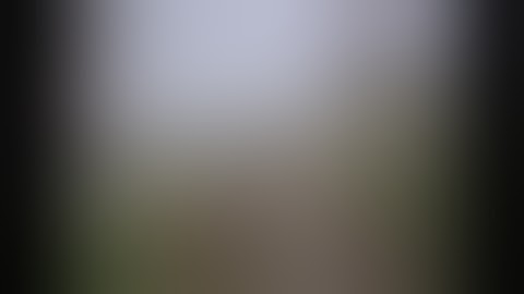 Button Button Trailer