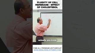 Fluidity of Cell Membrane | Effect of Cholesterol  #drnajeeb #drnajeeblectures  #shortvideo