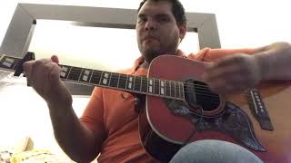 Young and Beautiful Lana Del Rey Acoustic Cover