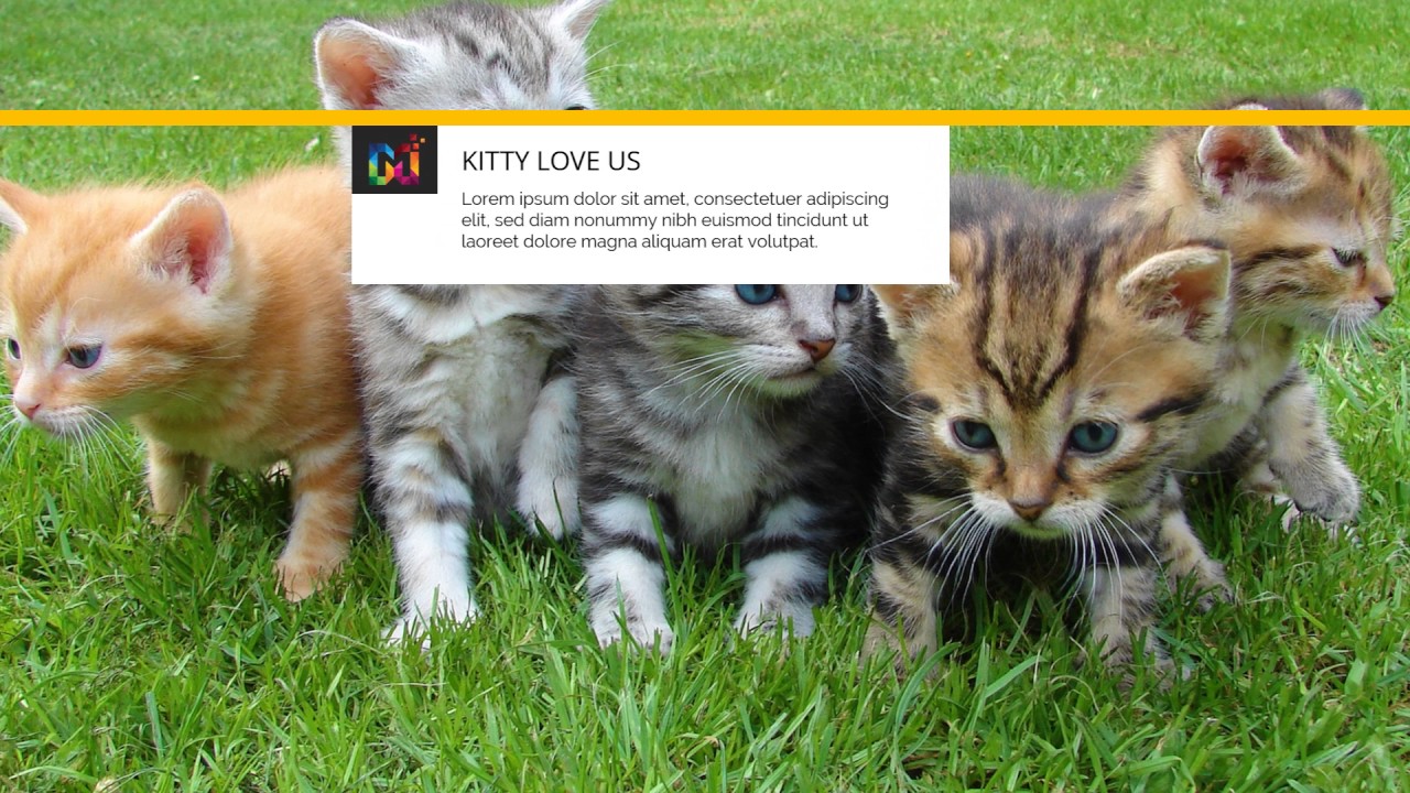 4 Pet & Cat Care