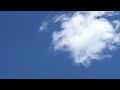Nasa/SpaceX launch at Kennedy Space Center - Sarah Lynn Dawson - Sarah's Science