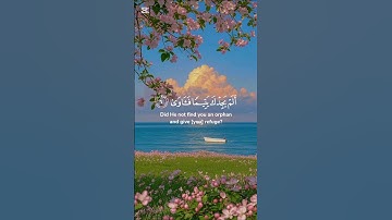 سورة الضحي♥️ بصوت#العفاسي #سورة_الضحى #قران_كريم #الجزائر #العراق#مشاري_العفاسي#quran #ارح_قلبك