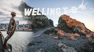 Living in Wellington, New Zealand for 4 months: Wellington City & Wairarapa video