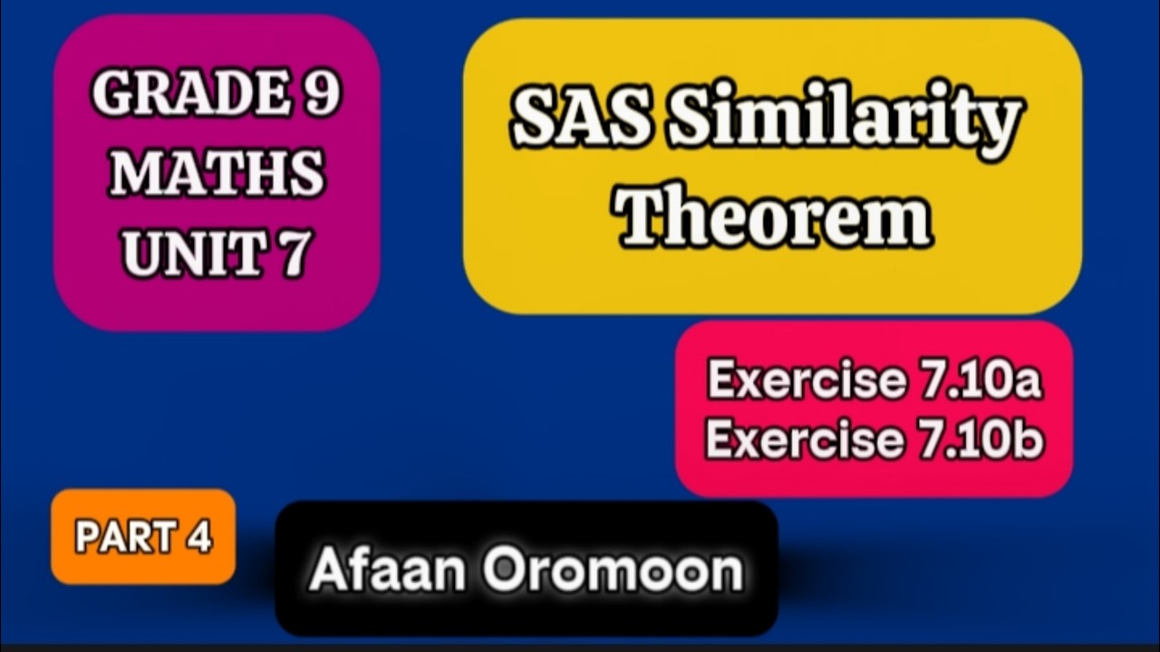 Grade 9 Maths Unit 7|SAS Similarity Theorem|Exercise 7.10a|Exercise 7 ...