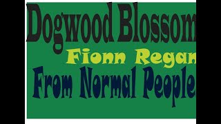 Dogwood Blossom || Fionn Regan || Lyrical