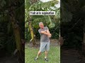 Trail arm supination for great golf!