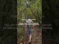 This practice changed everything for my mental health #grounding #veteran