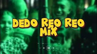 Lagu pesta Ende Lio 🎵 Dedo Reo Reo 🎵 mix 2024