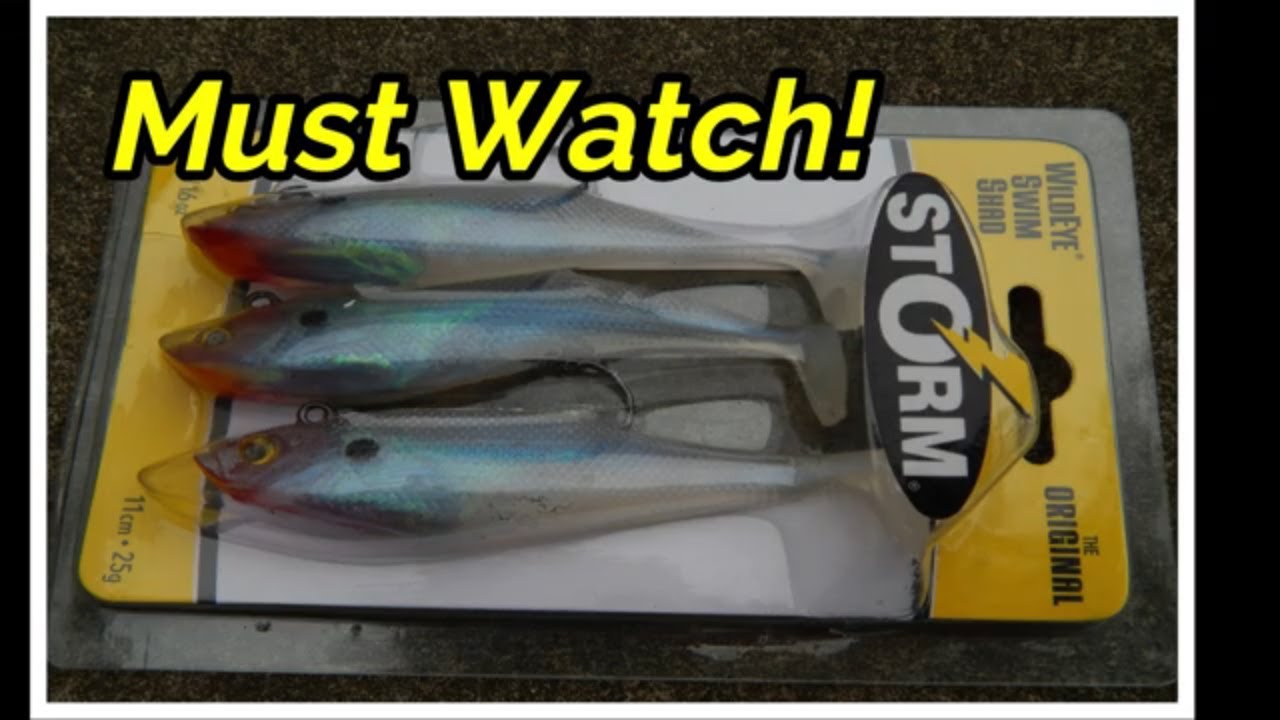 ROCKFISH EXTINCT? LET'S FIND OUT, FLOATING FROM GASTON TO WELDON BOAT