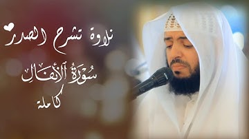 وديع اليمني || تلاوة بديعة تشرح الصدر لسورة الأنفال كاملة 🍃