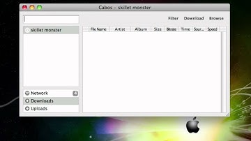 Free lightweight alternitive to limewire and frostwire for Mac and PC