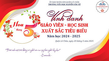 TRƯỜNG TH NGUYỄN VĂN TỐ - BÁO CÁO TỔNG KẾT NĂM HỌC 2024-2025