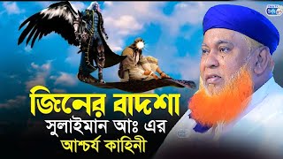 জিনের বাদশা সুলাইমান (আঃ) এর আশ্চর্য কাহিনী | আল্লামা আবুল কাশেম নুরী । Allama Abul Kashem nuri