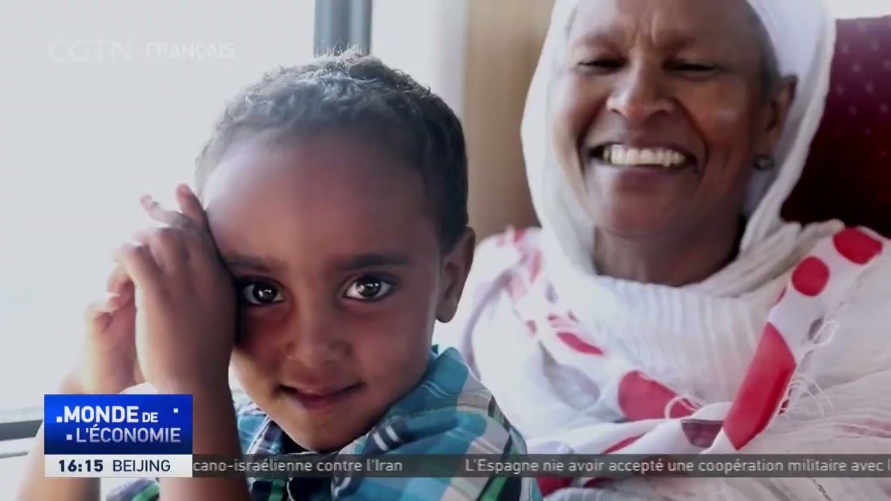 La Chine mettra en oeuvre une mesure de zéro tarif douanier en faveur de 53 pays africains