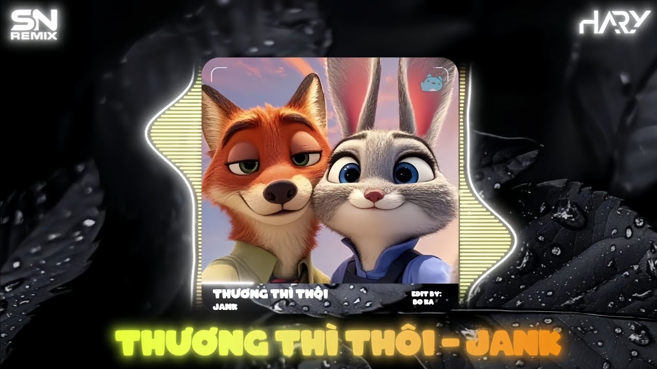 THƯƠNG THÌ THÔI (BO KA REMIX) JANK | Thời gian tàn nhẫn lấy đi...