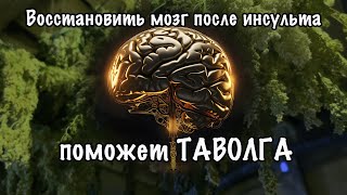 ТАВОЛГА и ее особые свойства