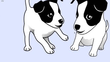 Instalar Puppy Linux, Chromium y Privacy Badger en Virtualbox