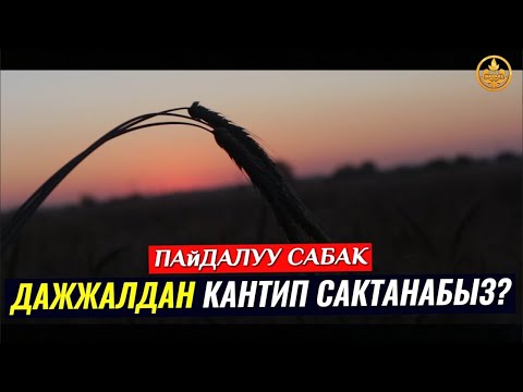 ДАЖЖАЛДАН КАНТИП САКТАНАБЫЗ. (кыямат белгилери,зарыл сабак). Шейх Чубак ажы