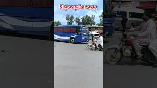 Skyway Daewoo Buses Multn