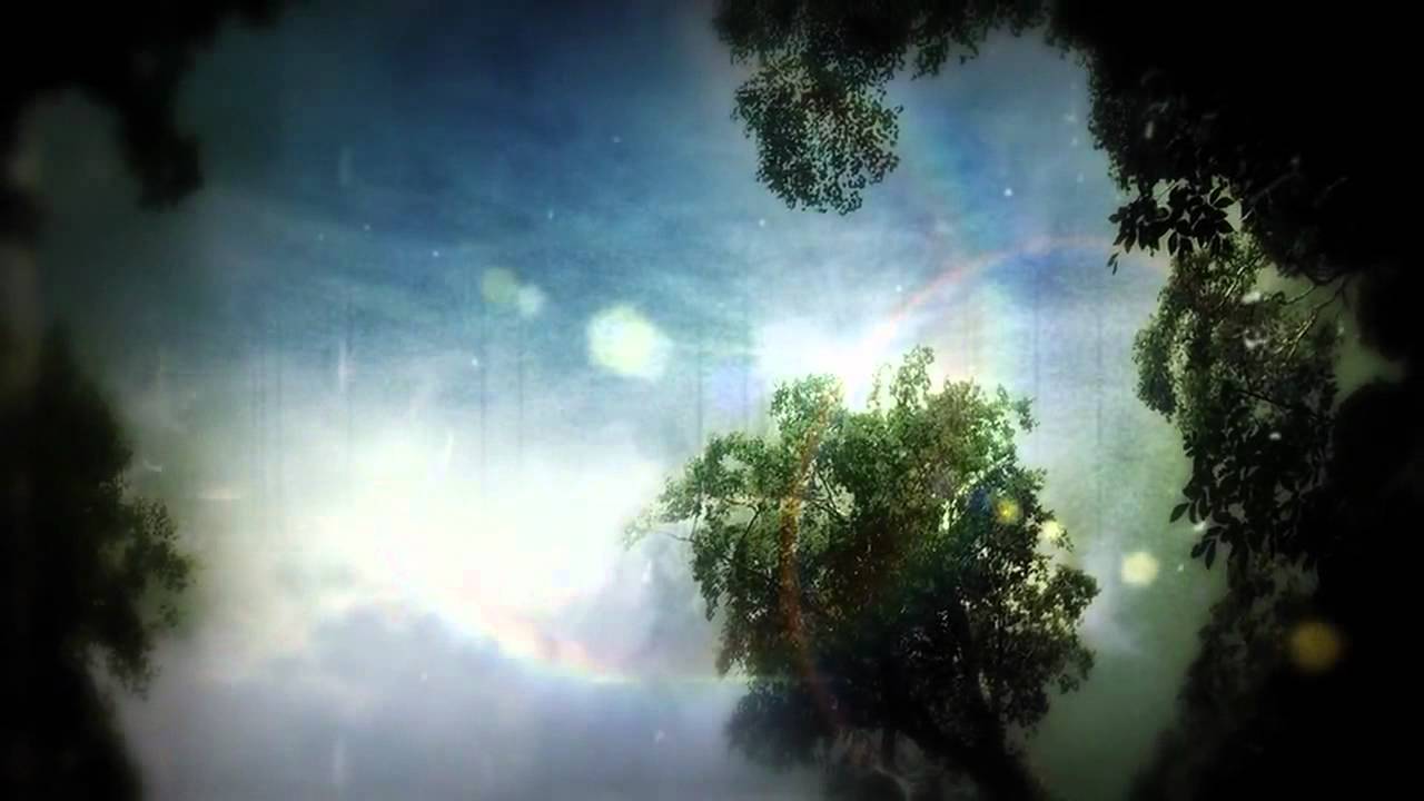 video Digimon Adventure