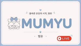 강아지분양🚨 멈뮤 실시간 댕댕이들 힐링 방송 🐶#강아지분양 #반려견 #강아지입양 #시츄#화이트테리어 #요키 #비숑 #포메 #추천 #토이푸들 #멈뮤 #말티푸 실시간 상담❤️ #라이브