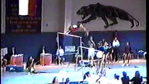 Allison Bruce - 1993 Junior US Classic Uneven Bars