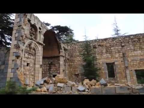 The Cedars Of God Before The First Snow Arez El Rabb North