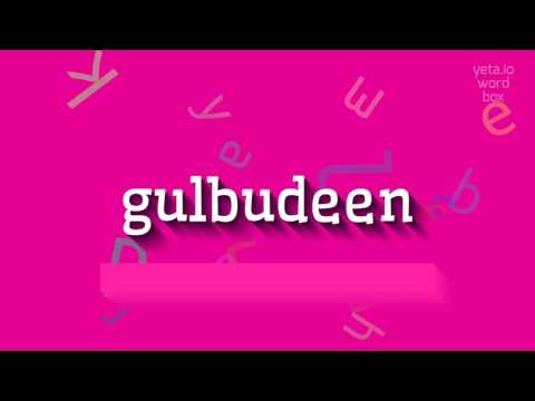 ቪዲዮ: ጉልቡዲን ሄክማትያር፡ ፎቶ፣ የህይወት ታሪክ፣ እንቅስቃሴዎች