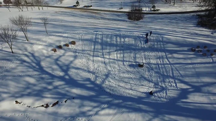 Fun in the Snow