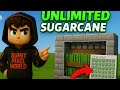 Minecraft Pocket Edition 1.21+ | Easy Starting Sugarcane Farm Tutorial (Beginner Friendly)