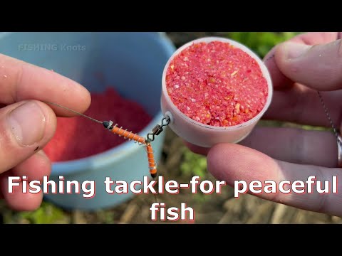 Video: Cum să faci acasă un alimentator pentru pescuit