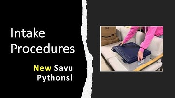 Intake Procedure for Snakes: Demo with New Savu Pythons!