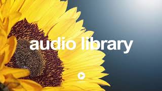 Go Cart By Kevin Macleod No Copyright Music Youtube - Free Audio Library