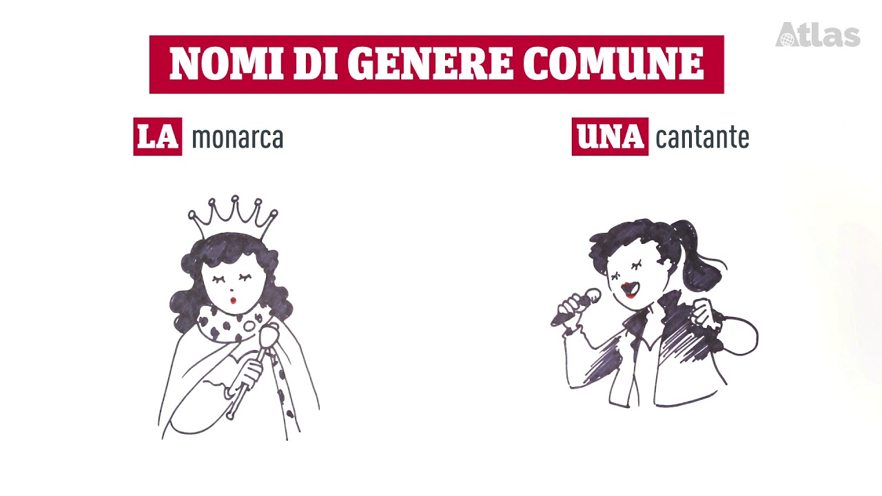 Cosa Sono I Nomi Di Genere Comune Gli articoli indicano il genere e il numero dei nomi - YouTube